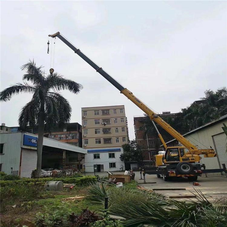 新都汽车吊出租多少钱？全面解析与市场行情